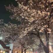 ヒメ日記 2026/04/01 05:25 投稿 咲子 Lip Trip