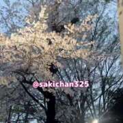 ヒメ日記 2026/04/07 12:02 投稿 咲子 Lip Trip