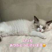 ヒメ日記 2026/05/11 06:02 投稿 咲子 Lip Trip