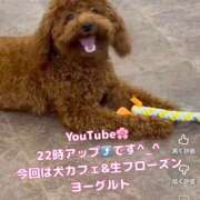 ヒメ日記 2026/06/02 21:22 投稿 咲子 Lip Trip