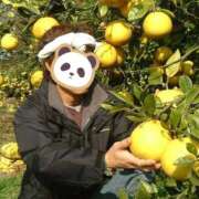 ヒメ日記 2025/03/18 15:51 投稿 あきら 奥鉄オクテツ兵庫