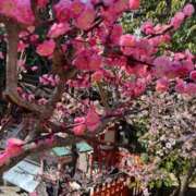 ヒメ日記 2025/03/23 07:25 投稿 あきら 奥鉄オクテツ兵庫