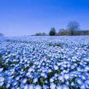 ヒメ日記 2025/05/05 20:19 投稿 あきら 奥鉄オクテツ兵庫