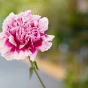 ヒメ日記 2025/05/13 09:57 投稿 あきら 奥鉄オクテツ兵庫