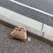 ヒメ日記 2025/07/07 09:15 投稿 あきら 奥鉄オクテツ兵庫