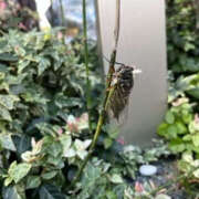 ヒメ日記 2025/07/19 09:40 投稿 あきら 奥鉄オクテツ兵庫