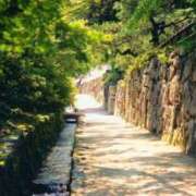 ヒメ日記 2025/11/05 15:49 投稿 あきら 奥鉄オクテツ兵庫