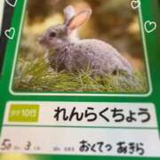 ヒメ日記 2026/02/24 08:50 投稿 あきら 奥鉄オクテツ兵庫