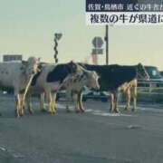 ヒメ日記 2026/03/09 09:51 投稿 あきら 奥鉄オクテツ兵庫