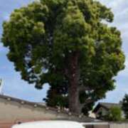 ヒメ日記 2026/04/19 11:56 投稿 あきら 奥鉄オクテツ兵庫