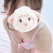 ヒメ日記 2025/03/30 17:44 投稿 瑠香(るか) カリビアンマッサージ 天使のゆびさき 岡山店