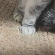 ヒメ日記 2025/03/04 17:13 投稿 もと 横浜ハッピーマットパラダイス