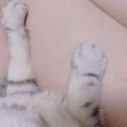 ヒメ日記 2025/04/22 16:53 投稿 もと 横浜ハッピーマットパラダイス