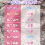 ヒメ日記 2025/05/10 18:43 投稿 もと 横浜ハッピーマットパラダイス