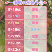 ヒメ日記 2025/05/16 19:28 投稿 もと 横浜ハッピーマットパラダイス