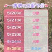 ヒメ日記 2025/05/20 19:13 投稿 もと 横浜ハッピーマットパラダイス