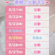 ヒメ日記 2025/05/21 18:23 投稿 もと 横浜ハッピーマットパラダイス