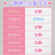 ヒメ日記 2025/05/25 00:23 投稿 もと 横浜ハッピーマットパラダイス