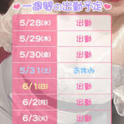 ヒメ日記 2025/05/28 19:43 投稿 もと 横浜ハッピーマットパラダイス