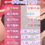 ヒメ日記 2025/06/15 20:33 投稿 もと 横浜ハッピーマットパラダイス