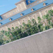 ヒメ日記 2025/08/07 02:23 投稿 もと 横浜ハッピーマットパラダイス