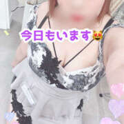 ヒメ日記 2025/12/15 08:50 投稿 もと 横浜ハッピーマットパラダイス