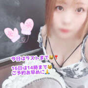 もと 要チェック👀 横浜ハッピーマットパラダイス