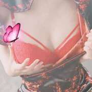 ヒメ日記 2025/04/07 14:15 投稿 りょう 妻天 日本橋店