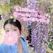 ヒメ日記 2025/05/15 18:01 投稿 のばら 春日部人妻花壇