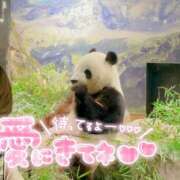 ヒメ日記 2025/06/14 12:21 投稿 のばら 春日部人妻花壇