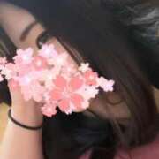 ヒメ日記 2025/04/02 16:01 投稿 さくら 鹿児島ちゃんこ 薩摩川内店