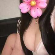 ヒメ日記 2025/04/03 19:43 投稿 さくら 鹿児島ちゃんこ 薩摩川内店