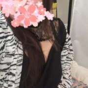 ヒメ日記 2025/04/29 14:13 投稿 さくら 鹿児島ちゃんこ 薩摩川内店