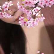 ヒメ日記 2025/05/12 21:04 投稿 さくら 鹿児島ちゃんこ 薩摩川内店