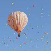 ヒメ日記 2025/11/19 14:35 投稿 あこ パンドラ(上野)