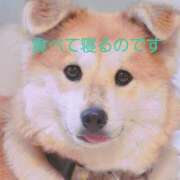 あこ 可愛い パンドラ(上野)