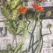 ヒメ日記 2025/06/15 13:17 投稿 きょうこ Lounge Yoki東京