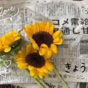 ヒメ日記 2025/07/13 13:17 投稿 きょうこ Lounge Yoki東京