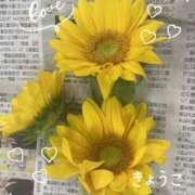 ヒメ日記 2025/08/18 13:17 投稿 きょうこ Lounge Yoki東京