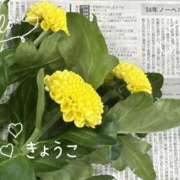 ヒメ日記 2025/10/05 13:07 投稿 きょうこ Lounge Yoki東京