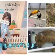 ヒメ日記 2025/11/02 12:37 投稿 きょうこ Lounge Yoki東京