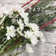 ヒメ日記 2025/11/09 13:17 投稿 きょうこ Lounge Yoki東京