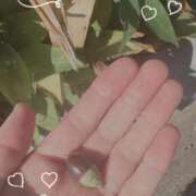 ヒメ日記 2025/11/17 13:17 投稿 きょうこ Lounge Yoki東京