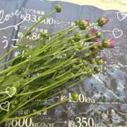 きょうこ 🦋 急ぐべからず、焦るべからず Lounge Yoki東京