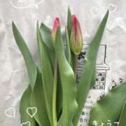 ヒメ日記 2026/02/01 13:17 投稿 きょうこ Lounge Yoki東京