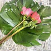 ヒメ日記 2026/03/15 13:07 投稿 きょうこ Lounge Yoki東京