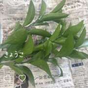 ヒメ日記 2026/05/03 13:17 投稿 きょうこ Lounge Yoki東京
