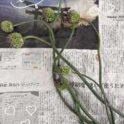 ヒメ日記 2026/06/13 13:17 投稿 きょうこ Lounge Yoki東京