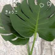 ヒメ日記 2026/07/25 13:17 投稿 きょうこ Lounge Yoki東京