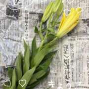 ヒメ日記 2026/09/13 13:17 投稿 きょうこ Lounge Yoki東京